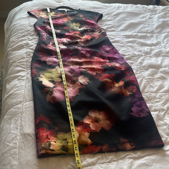 NWOT Ted Baker Floral Dress. - Picture 5 of 7